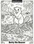 Beaver